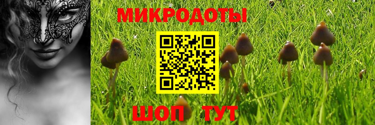 Псилоцибиновые грибы Cubensis  Вход с VPN  Карпинск 