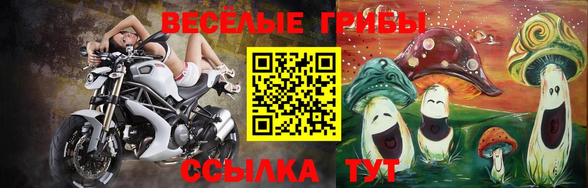 Псилоцибиновые грибы мухоморы Карпинск